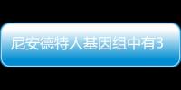 尼安德特人基因组中有3％来自古代人类 丹尼索瓦人基因组的1％可能来自直立人